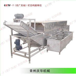 豆芽清洗殺菌機